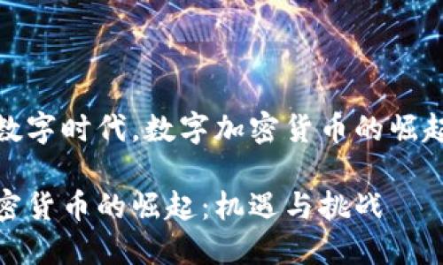 在这个数字时代，数字加密货币的崛起与挑战

数字加密货币的崛起：机遇与挑战