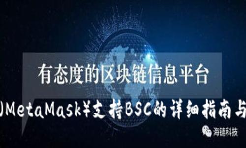 狐狸钱包（MetaMask）支持BSC的详细指南与使用技巧