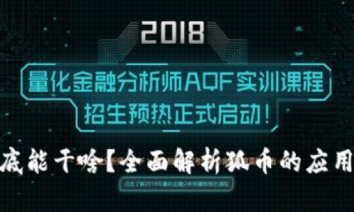 狐币到底能干啥？全面解析狐币的应用与价值