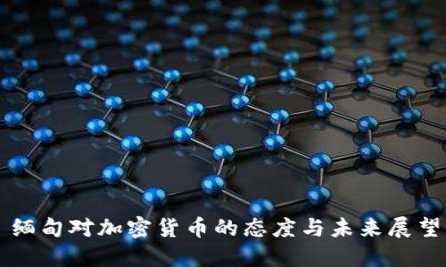 缅甸对加密货币的态度与未来展望