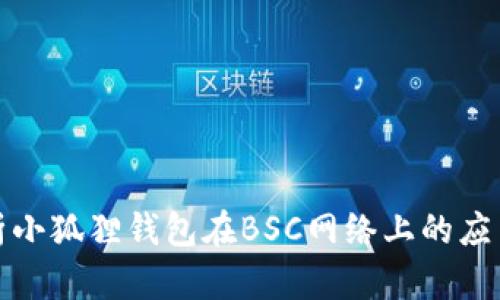 全面解析小狐狸钱包在BSC网络上的应用与优势