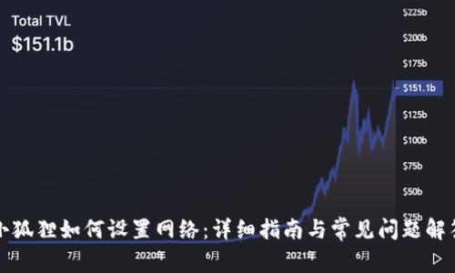 小狐狸如何设置网络：详细指南与常见问题解答